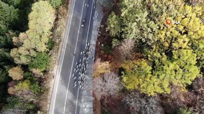 kis turizmi -  Uludağ'a kar düştü çobanların zorlu yolculuğu başladı Videosu