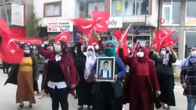 hamile kadin -  HDP'li vekil ve partililer, çocukları dağa kaçırılan ailelerin basın açıklamasını engellemeye çalıştı Videosu