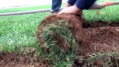  Mardin’de üretilen çimler Irak’a ihraç ediliyor