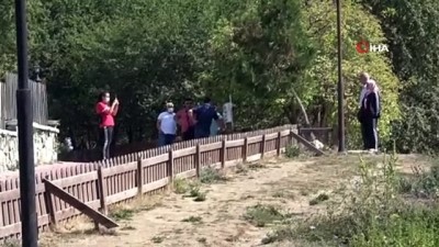 goller -  Bolu’da, tabiat ve milli parklara randevuyla girilecek Videosu