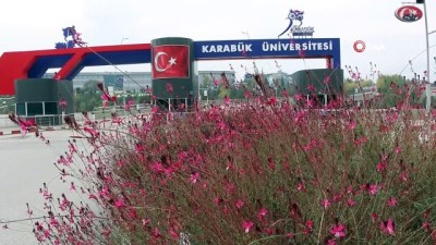  Çimden hayvan heykelleri üniversiteye renk katıyor