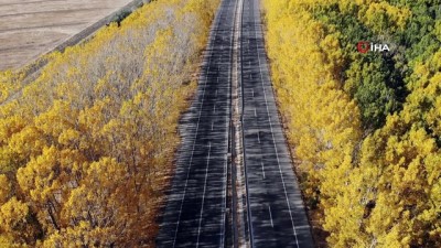 sonbahar -  Karayolunda eşsiz sonbahar manzarası Videosu