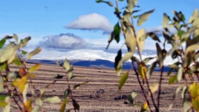 sonbahar - Kars'ta yüksek kesimler karla kaplandı Videosu