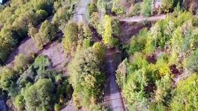 sonbahar - İki kardeş sonbaharın renklerinde 'İstiklal Yolu'nu yürüdü - KASTAMONU Videosu