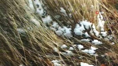  Kar Posof'ta köylere kadar indi