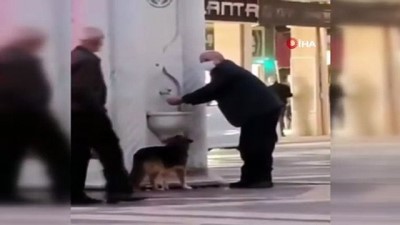  Köpeğe avucuyla su verdi
