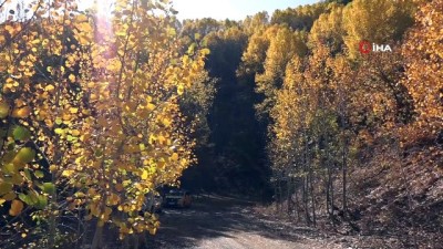 sonbahar -  Tunceli’de 'Kar ve sonbahar' görsel şölen sundu Videosu