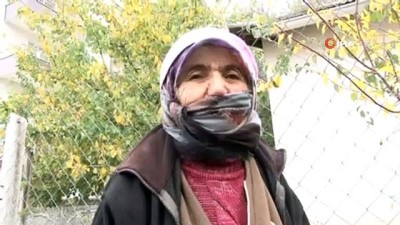  Atık odunlar, 2 Bin 300 ailenin evini ısıtacak