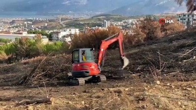  Hatay’da 1 milyon 563 bin fidan toprakla buluşacak