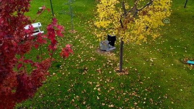 gokkusagi - Konya'nın parkları sonbahar görüntüsüyle büyülüyor Videosu