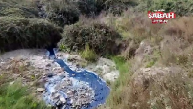 Sultangazi'de şok görüntüler! Dereyi görenler gözlerine inanamadı
