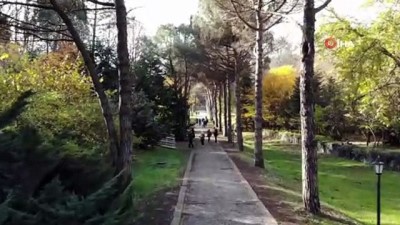 sonbahar -  Atatürk Arboretumu’nda sonbahar manzarası Videosu