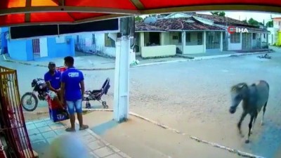 soygun -  - Brezilya'da “atlı” soygun Videosu
