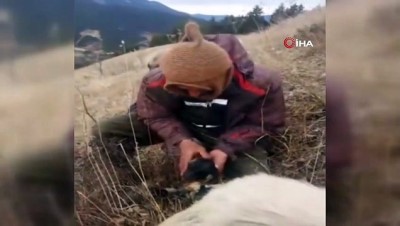 cep telefonu -  Çoban yeni doğan kuzuyu yaşatmak için böyle uğraştı Videosu
