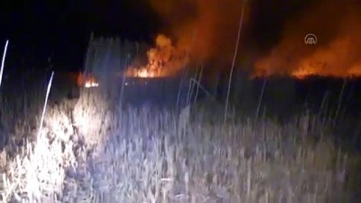 karabag - AFYONKARAHİSAR - Eber Gölü'ndeki yangında yaklaşık 1,5 kilometrekare kamışlık arazi zarar gördü Videosu