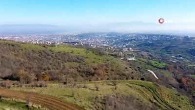 karya -  Doğaseverlerin uğrak yeri olan Kırcaali Yaylası, kısıtlamalarda diğer canlılara hayat oluyor Videosu