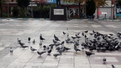 alisveris -  Manyas’ta meydanlar kuşlara kaldı Videosu