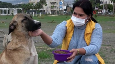  Sessizliğe bürünen sahillerde sokak köpekleri beslendi