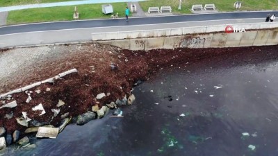 ilginc goruntu -  Caddebostan’da ilginç görüntü: Sahil kızıla boyandı Videosu