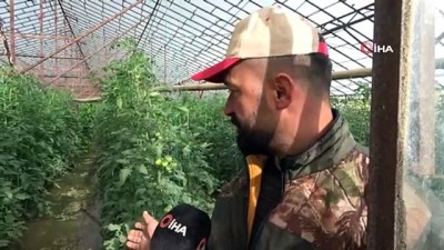 tarim arazisi -  Sular altında kalan tarım arazilerinin başından ayrılmadılar Videosu