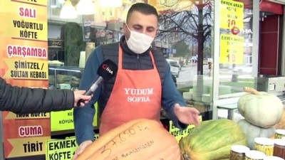  Dev kabaklar ilgi odağı oldu