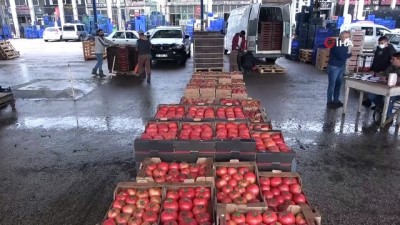 ihracatcilar -  - Rusya’nın domates ve biber kararına ihracatçı ile üreticilerden tepki Videosu