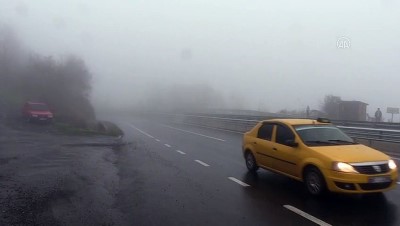 ZONGULDAK - Yoğun sis etkili oluyor