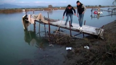 sudan -  2 yavru kuzuyu ayaklarına ip bağlayıp Manavgat Irmağı'nda ölüme terk ettiler Videosu