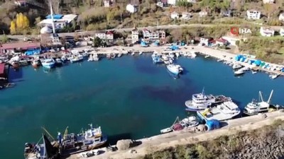 alamut -  Palamut sezonu bitti, Karadeniz hamsisi 20 lira Videosu