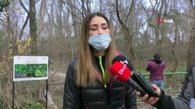 taahhut -  Edirne’de ağaç kesimine çevrecilerden tepki Videosu