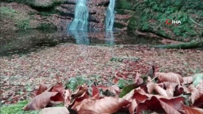 sonbahar -  İkiz şelalelerde kartpostallık görüntüler Videosu