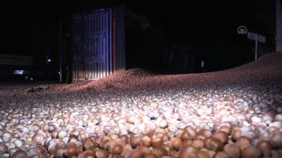 guzergah - DÜZCE - Tırın devrilmesi sonucu D-100 karayolu fındıkla kaplandı Videosu