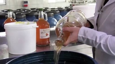 dogal urun - KASTAMONU - Yıllandırılan 'sarımsak ekstraktı' talep görüyor (1) Videosu