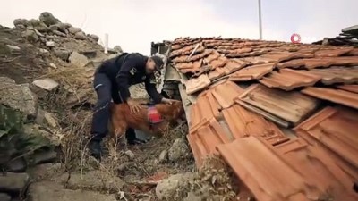egitimli kopek -  Jandarma, can dostları köpekler için kısa film çekti Videosu