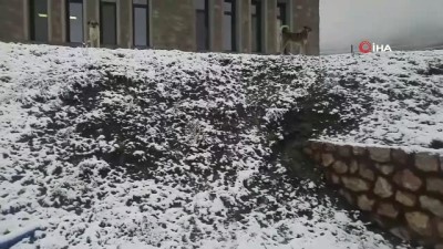  Kastamonu’da beklenen kar yağışı başladı
