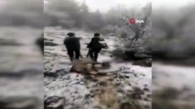 dag kecisi -  Avladıkları dağ keçisini böyle sürüklediler Videosu