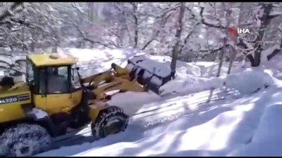  Beytüşşebap’ta karla mücadele çalışmaları devam ediyor
