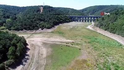geri donusum -  İSKİ eski yöneticisi Özleyen: “Riskin olduğu süreç Mayıs, Haziran'dan sonra başlar” Videosu