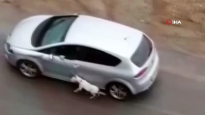  Köpeğini tasmasından tutup otomobilden sürükleyerek gezdirdi