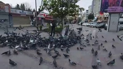 sivil polis -  Silivri'de aç kalan güvercinleri polis besledi Videosu
