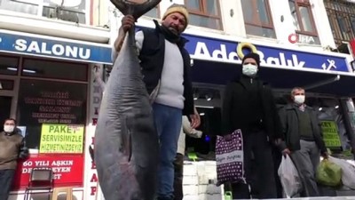 orkinos -  - 75 kilogramlık orkinos balığını 3 kişi zor kaldırdı Videosu