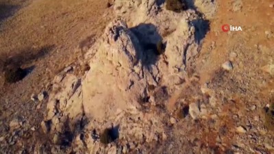 gezin -  - Yaban keçileri droneye yakalandı Videosu
