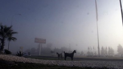 asiri hiz - KAHRAMANMARAŞ - Sis etkili oluyor Videosu