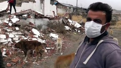 kar yagisi - KARS - Kısmen boşaltılan köyde sahipsiz kalan köpeklere doğa koruma ekipleri sahip çıktı Videosu