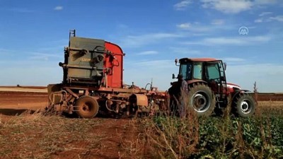 sut uretimi - KONYA - Türkiye'de tarımsal üretimin sigortası: Konya Ovası Videosu