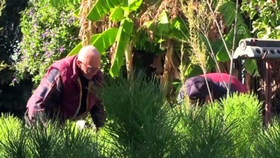 emekli albay - MUĞLA - 'Geleceğe nefes olsun' diye ömrünü ağaçlandırmaya adadı Videosu