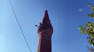 cami minaresi - SİİRT - Kurtalan ilçesine bağlı Ağaçlıpınar köyünde depremin etkisiyle yıkılan cami minaresi Videosu