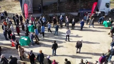 kalaba -  330 aileye 27 bin ceviz fidanı dağıtıldı Videosu