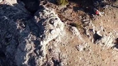 yaban kecisi -  Kaçak avcılar drone ile böyle yakalandı Videosu