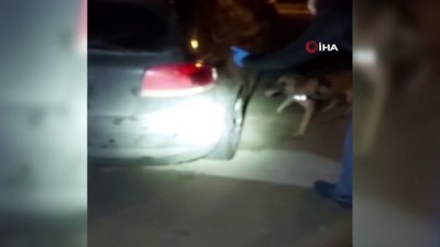 metamfetamin -  Muğla'da uyuşturucu operasyonu: 5 gözaltı Videosu